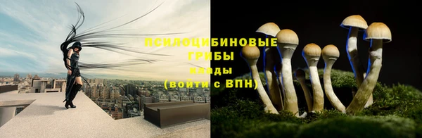 эйфоретик Алзамай